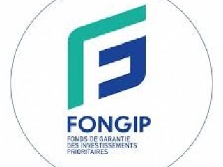 FONDS DE GARANTIE DES INVESTISSEMENTS PRIORITAIRES