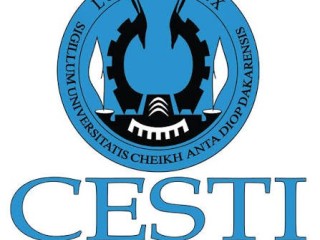 CENTRE DÉTUDES DES SCIENCES ET TECHNIQUES DE LINFORMATION (CESTI)