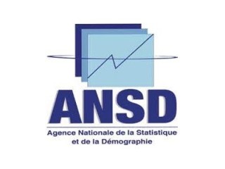 Logo Agence Nationale De La Statistique Et De La Démographie