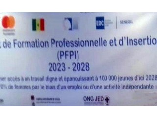 Logo Projet De Formation Professionnelle Et D'Insertion((PFPI))