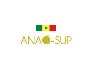 Logo ANAQ